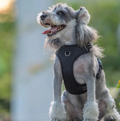 EasyWalk™ No-Pull Harness + Shock-Absorbent Leash (No Choking)