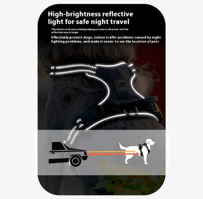 EasyWalk™ No-Pull Harness + Shock-Absorbent Leash (No Choking)