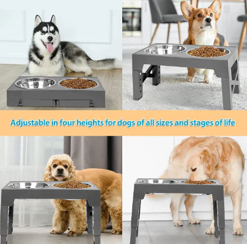 Adjustable Elevated Slow Feeder Dog Bowl